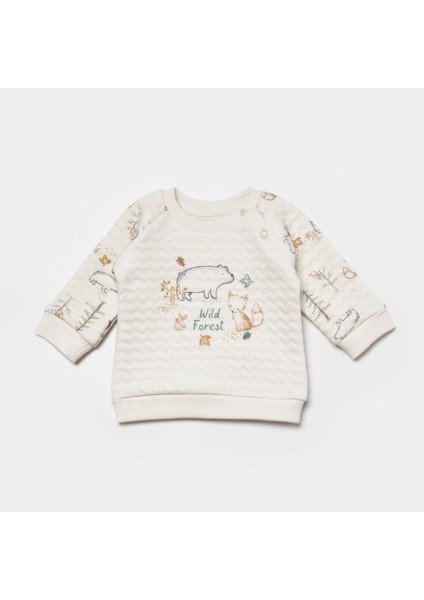 Wild Forest 2'li Bebek Takım 59811 fırsatları