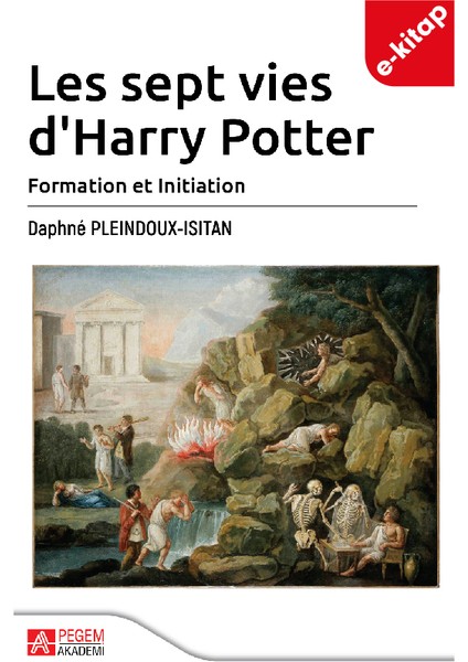 Les sept vies d'Harry Potter (e-kitap)