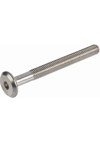 Alyan Başlı Silindir Vida M6*90 mm