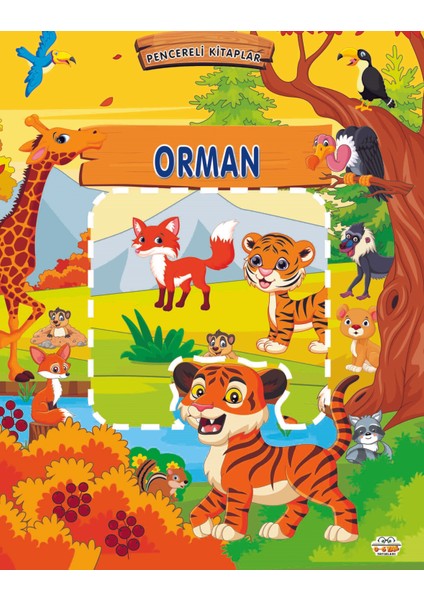 Pencereli Kitaplar Orman - Ersan Güngör