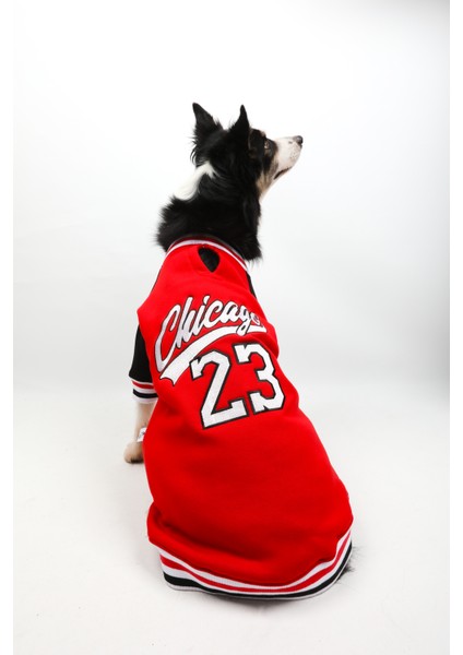 Chicago Kırmızı Kolej Ceket