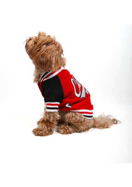 Chicago Kırmızı Kolej Ceket modelleri