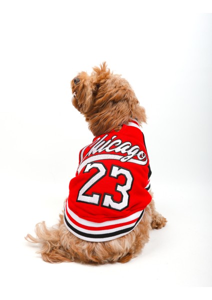 Chicago Kırmızı Kolej Ceket fırsatları