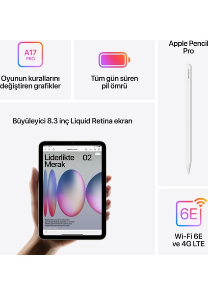 iPad Mini 256GB 8.3" Wi-Fi + Cellular Tablet Uzay Grisi MXPT3TU/A