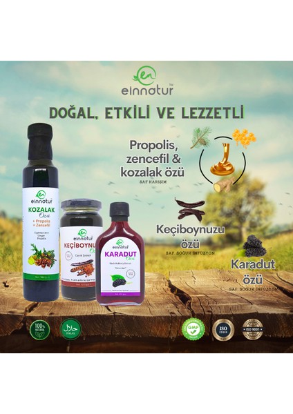 Einnatur 1 Adet Karadut Özü 1 Adet Keçiboynuzu özü ve 1 Adet Propolisli Zencefilli Kozalak Özü