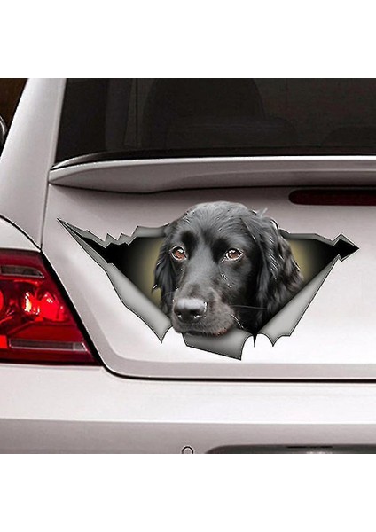 Köpek Bagajdan Bakan Köpek Araba Oto Motosiklet Karavan Sticker 00141