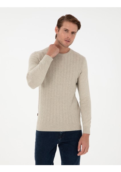 Erkek Kum Melanj Slim Fit Bisiklet Yaka Triko Kazak 50300499-VR123