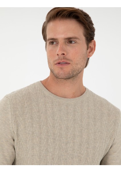 Erkek Kum Melanj Slim Fit Bisiklet Yaka Triko Kazak 50300499-VR123 fiyatları