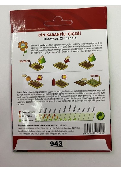 Çin Karanfili ( Çoklu Tohum ) - 100 Tohum - Karışık Renk fırsatları