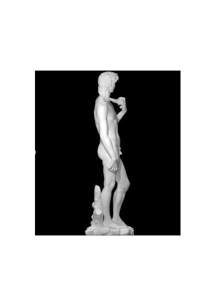 3D Davut Heykel Figürü fiyatları