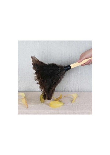 Toz Alma Tüyü fiyatları