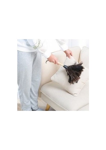 Mağaza Vitrin Toz Alma Silinmesi Deve Tüylü Temizlik fırsatları