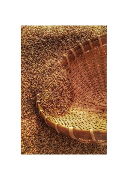Şeker Gübresi Çim Gübresi Süper As %21 Azot Gübresi - 5 kg indirimleri