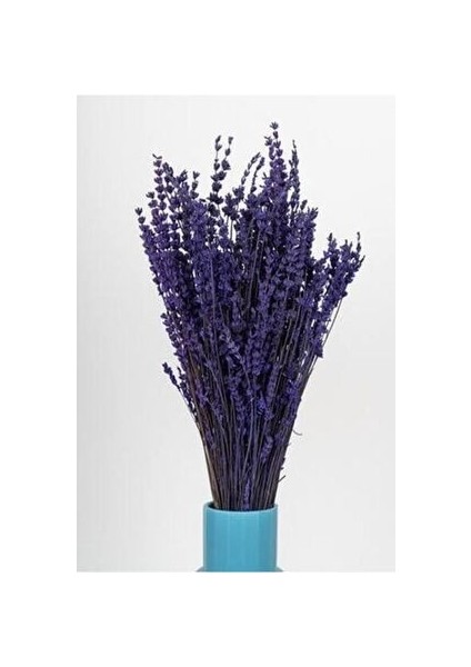 Kuru Çiçek Şoklanmış Dökülmeyen Gerçek Lavanta Demeti