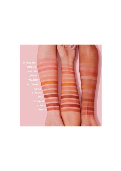 Mini Moone Allık - Rich Berry 2,5 gr (Blush) modelleri