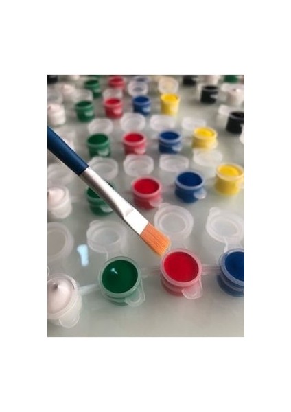 Akrilik Boya 6 Farklı Ana Renk (3'er ml Haznede) + Özel Akrilik Boya Fırçası (Tüylenmez)