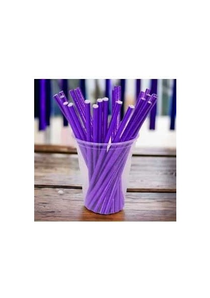 Parlak Mor Kağıt Pipet 24LÜ