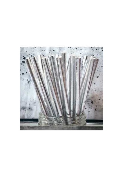 Gümüş Kağıt Pipet 24LÜ
