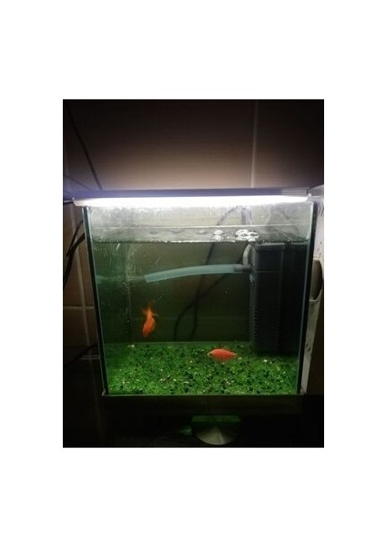 Akvaryum ve Araç Içi LED Aydınlatma, 25 Cm, Beyaz, 12 Volt Adaptör ile Birlikte