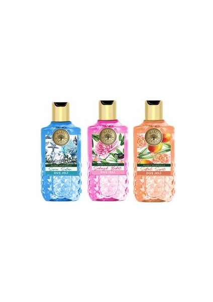 Duş Jeli 750 ml 3'lü Tanışma Seti