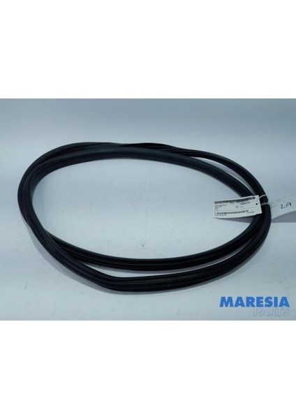 Arka Kapı Lastiği Psa 5008 B.M 2016- (Oem No: 9676801080)