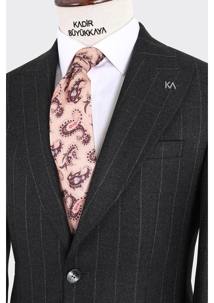 Kırlangıç Yaka Iki Düğmeli Erkek Takım ELBISE-KAX1310S modelleri