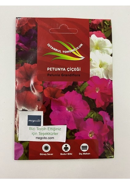 Petunia ( Çoklu Tohum ) - 80 Tohum - Karışık Renk