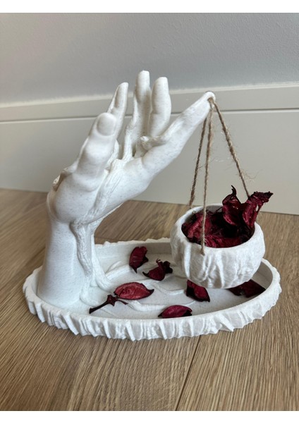 el şeklinde sukulent ve kaktüs saksısı dekoratif modern şık