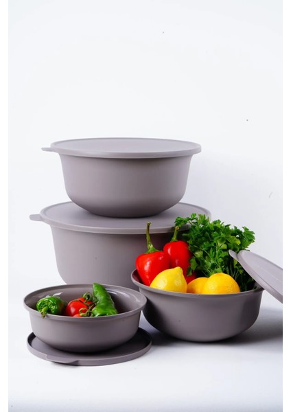 Tupy Kapaklı Kase 4lü Set Bej