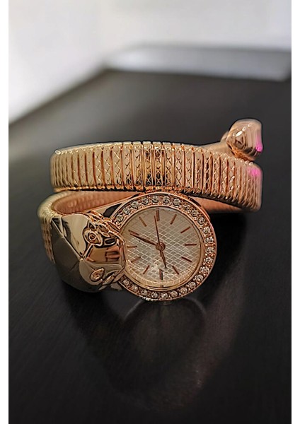 Yılan Modeli Özel Günlere Uygun Çelik Şık Kadın Kol Saati fiyatları