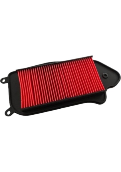 Hava Filtre Elemanı Fury 110 Mondial