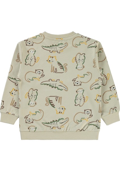 Erkek Çocuk Sweatshirt 2-5 Yaş Yeşil fiyatları