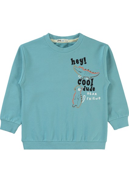 Erkek Çocuk Sweatshirt 2-5 Yaş Mavi
