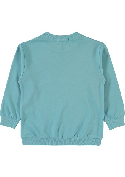 Erkek Çocuk Sweatshirt 2-5 Yaş Mavi