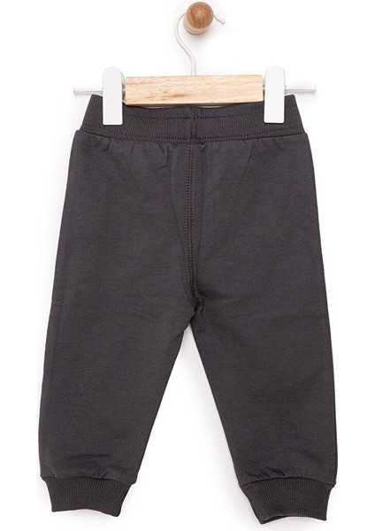 HelloBaby Basic Ayı Baskılı Az Şardonlu Eşofman Alt Unisex fiyatları