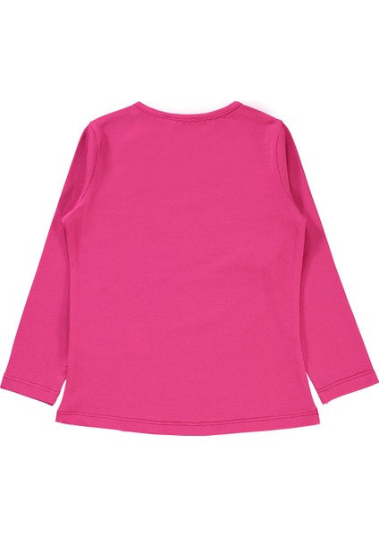 Kız Çocuk Sweatshirt 2-5 Yaş Aydınlık Pembe fiyatları