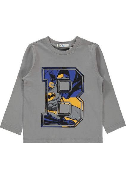 Erkek Çocuk Sweatshirt 2-5 Yaş Gri