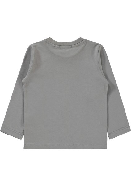 Erkek Çocuk Sweatshirt 2-5 Yaş Gri fiyatları