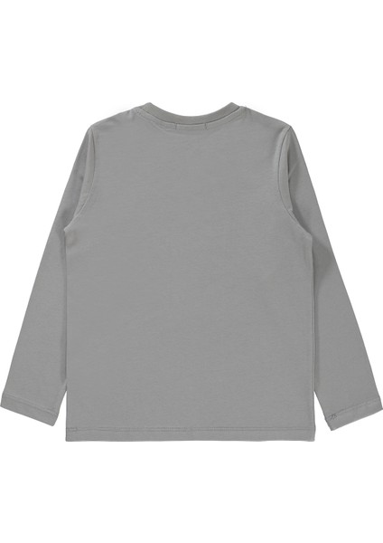 Erkek Çocuk Sweatshirt 6-9 Yaş Gri fiyatları