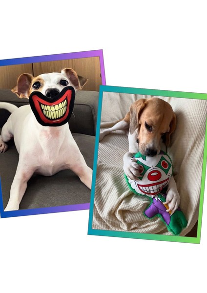 Cadılar Bayramı Temalı Köpek Oyuncak Seti Sesli Peluş Joker ve Joker Ağız Köpek Oyuncakları
