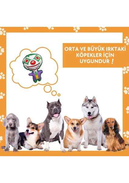 Cadılar Bayramı Temalı Peluş Joker Köpek Oyuncağı Vikvik Sesli Peluş Köpek Oyuncağı