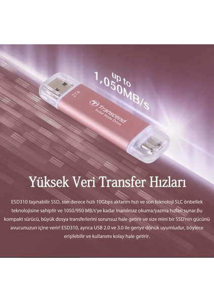 TS1TESD310S 1tb Usb/type-C 10GBPS Taşınabilir Harici SSD - Gümüş