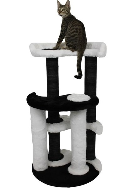 Yinyang Kedi Tırmalaması