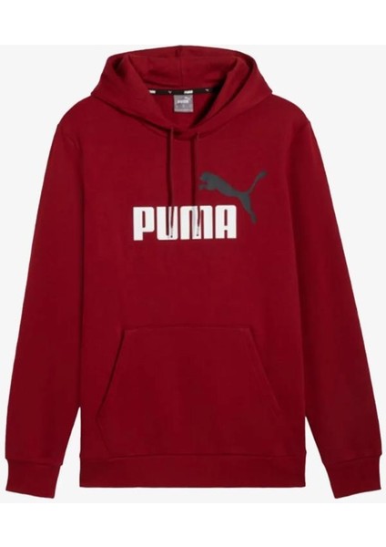 Ess+ 2 Col Big Logo Hoodie Erkek Kırmızı Sweatshirt 58676412