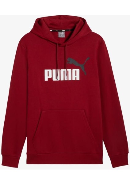 Ess+ 2 Col Big Logo Hoodie Erkek Kırmızı Sweatshirt 58676412 modelleri