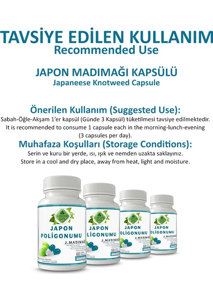 Şifa Japon Poligonumu Kapsül (JAPANESE POLYGON CAPSULE) fırsatları