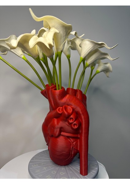 Nk Ateiler Gerçekçi Anatomik Kalpli Vazo 18 cm