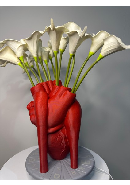 Nk Ateiler Gerçekçi Anatomik Kalpli Vazo 18 cm