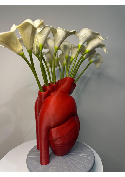 Nk Ateiler Gerçekçi Anatomik Kalpli Vazo 18 cm