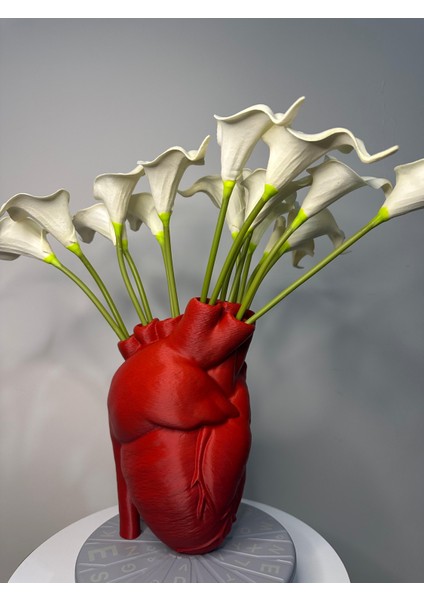 Nk Ateiler Gerçekçi Anatomik Kalpli Vazo 18 cm